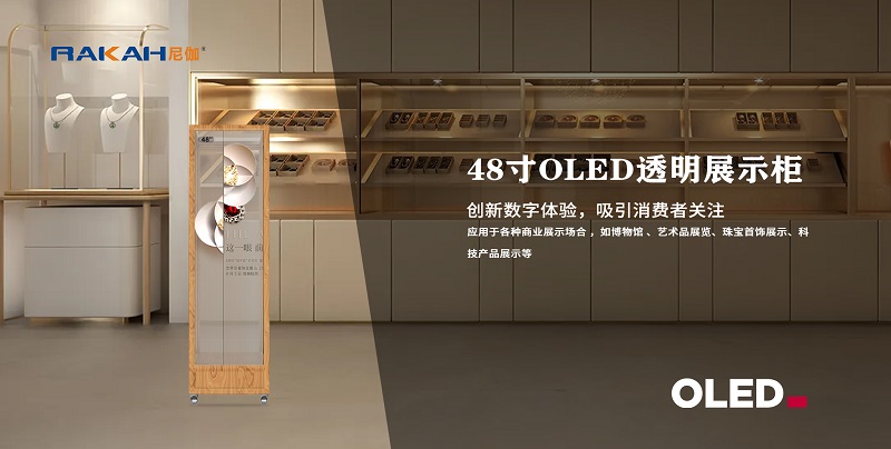 48糡-.jpg