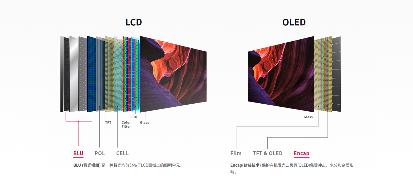 42OLED